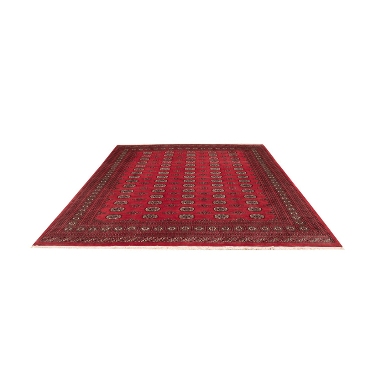 Tappeto afgano - Bukhara - 305 x 246 cm - rosso