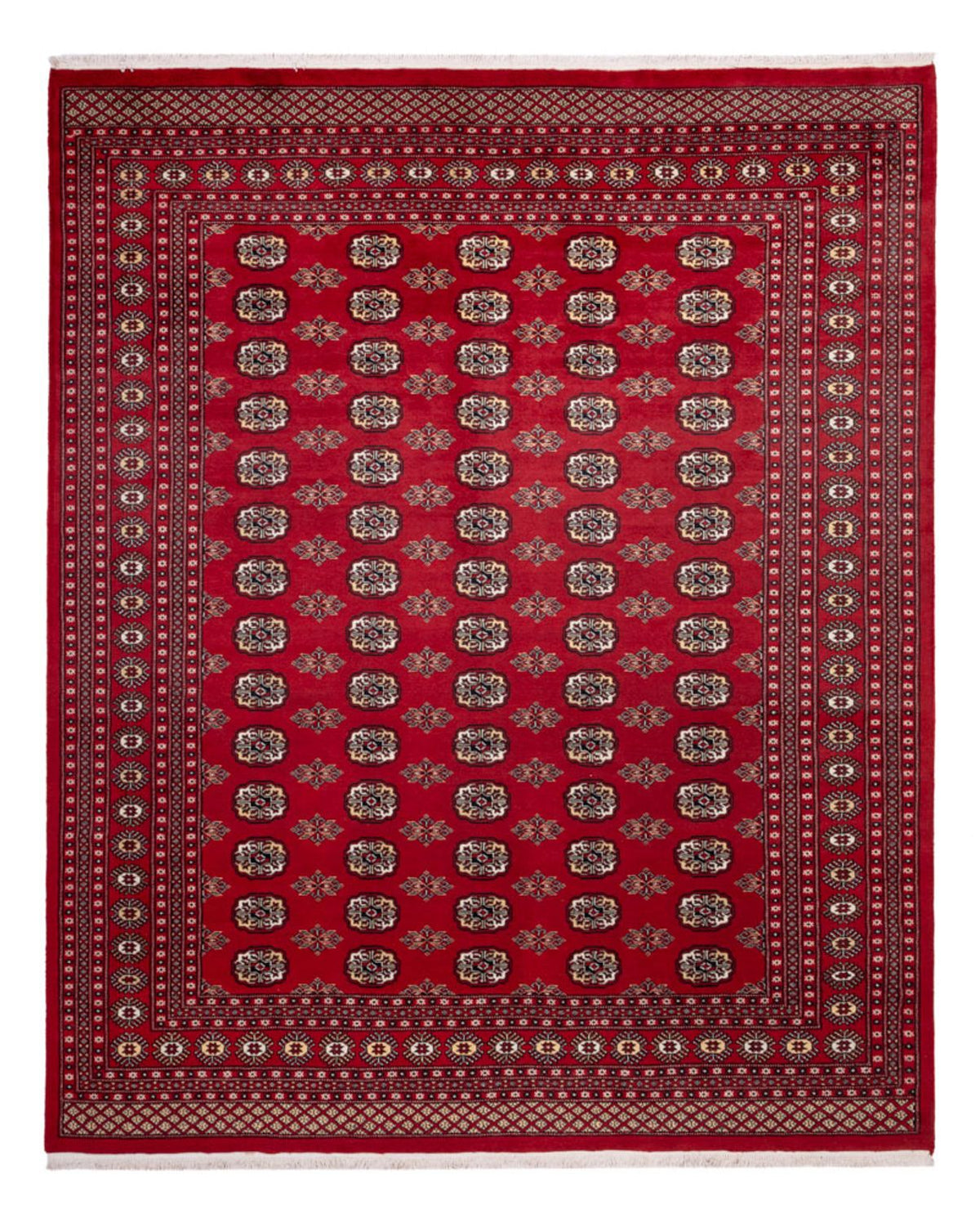 Tappeto afgano - Bukhara - 301 x 245 cm - rosso
