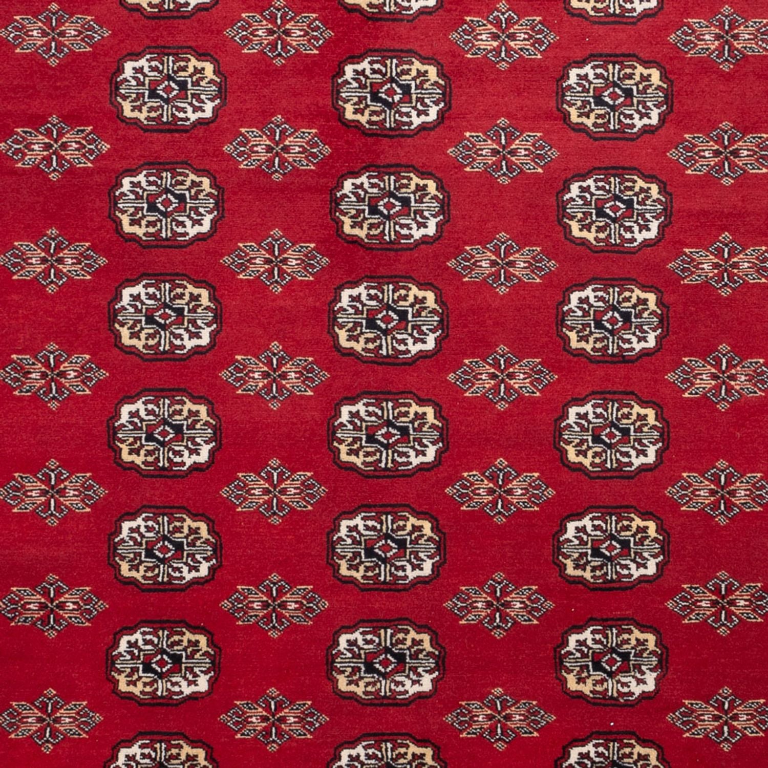 Tappeto afgano - Bukhara - 301 x 245 cm - rosso