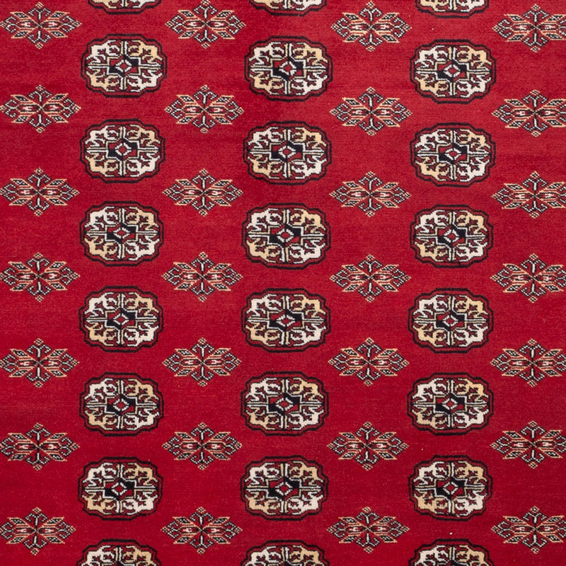 Tappeto afgano - Bukhara - 301 x 245 cm - rosso