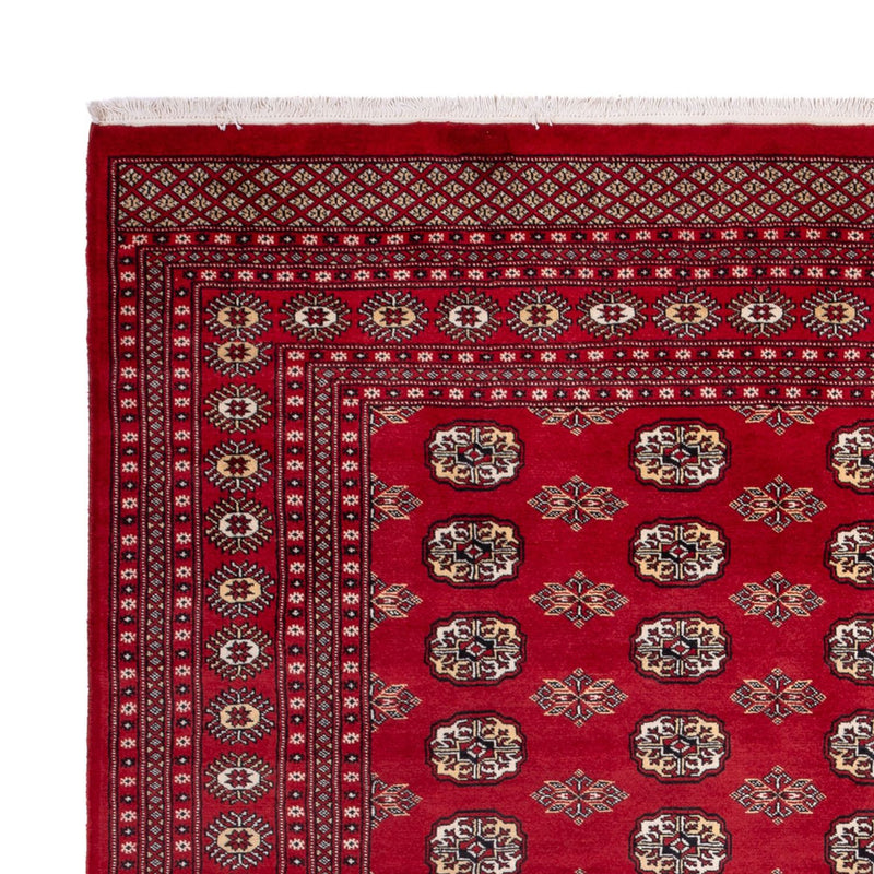Tappeto afgano - Bukhara - 301 x 245 cm - rosso