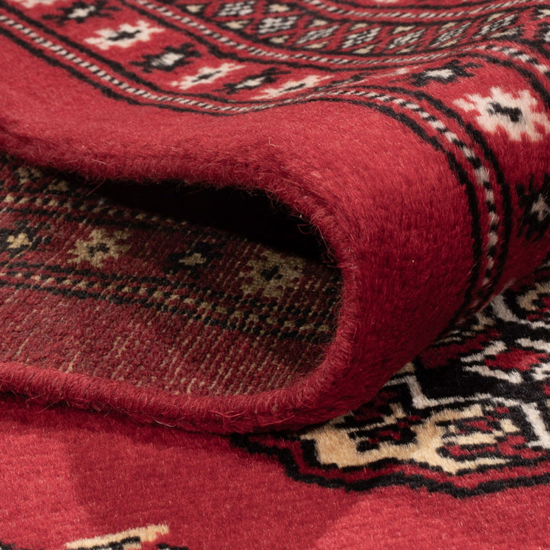 Tappeto afgano - Bukhara - 301 x 245 cm - rosso