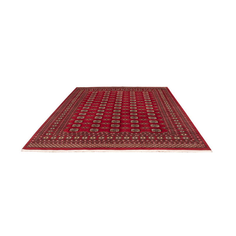 Tappeto afgano - Bukhara - 301 x 245 cm - rosso