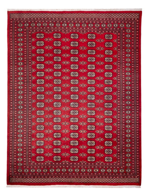 Tappeto afgano - Bukhara - 314 x 243 cm - rosso