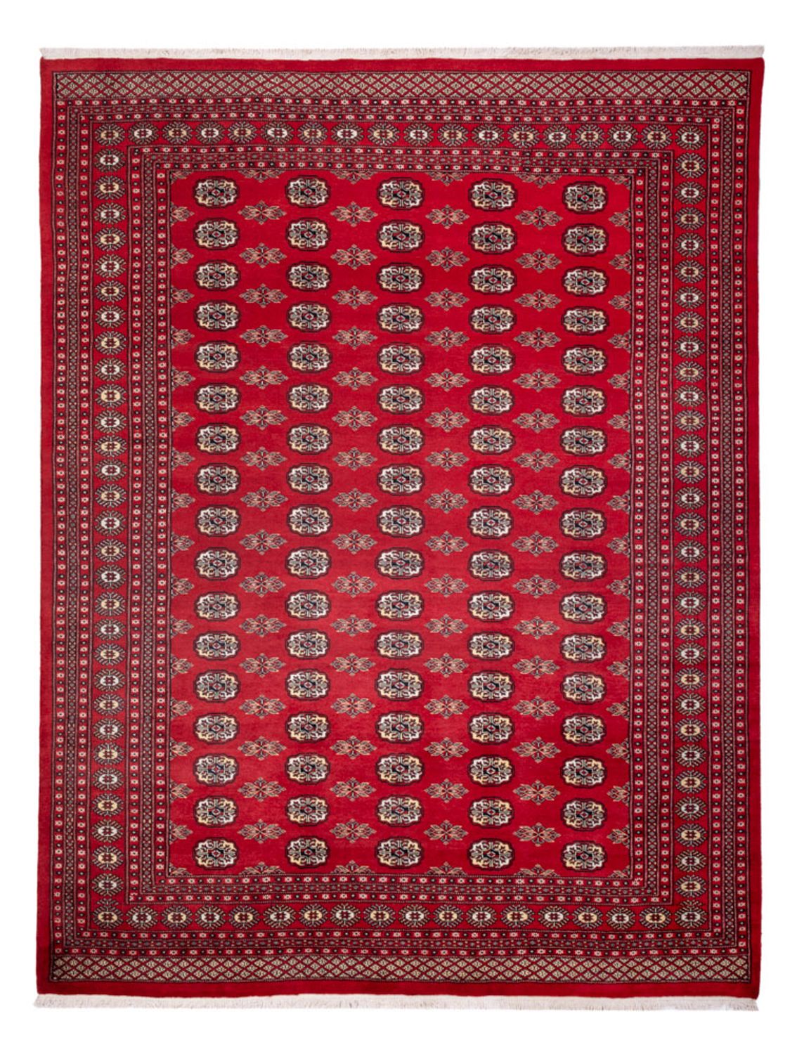 Tappeto afgano - Bukhara - 314 x 243 cm - rosso
