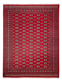 Tappeto afgano - Bukhara - 314 x 243 cm - rosso