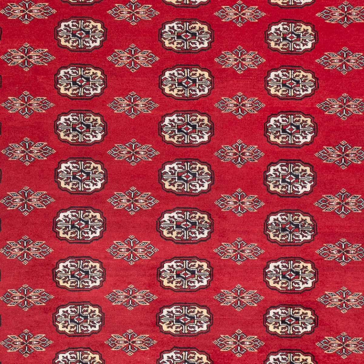 Tappeto afgano - Bukhara - 314 x 243 cm - rosso