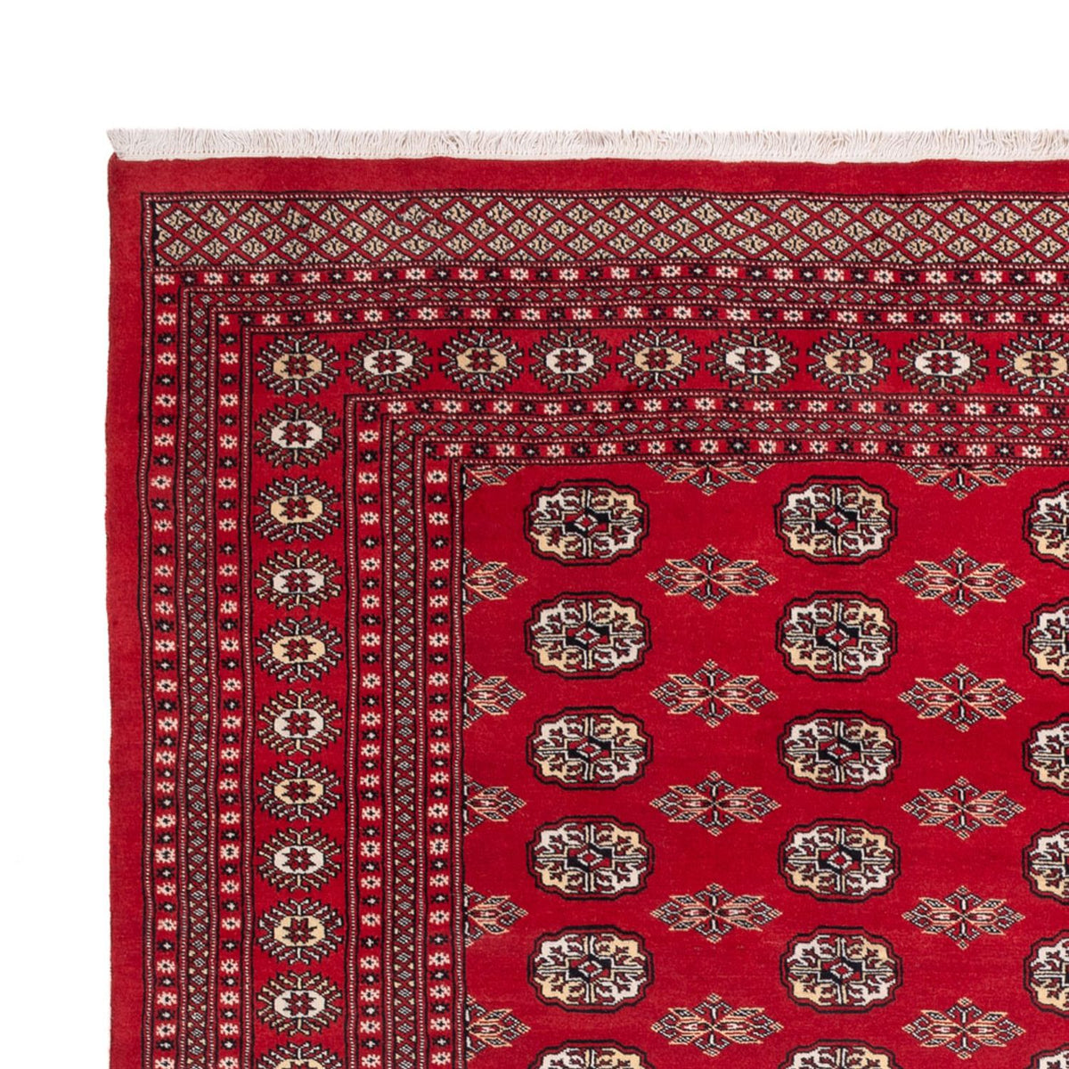 Tappeto afgano - Bukhara - 314 x 243 cm - rosso
