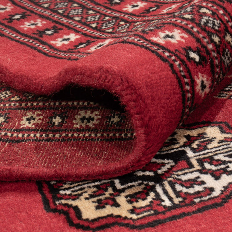 Tappeto afgano - Bukhara - 314 x 243 cm - rosso