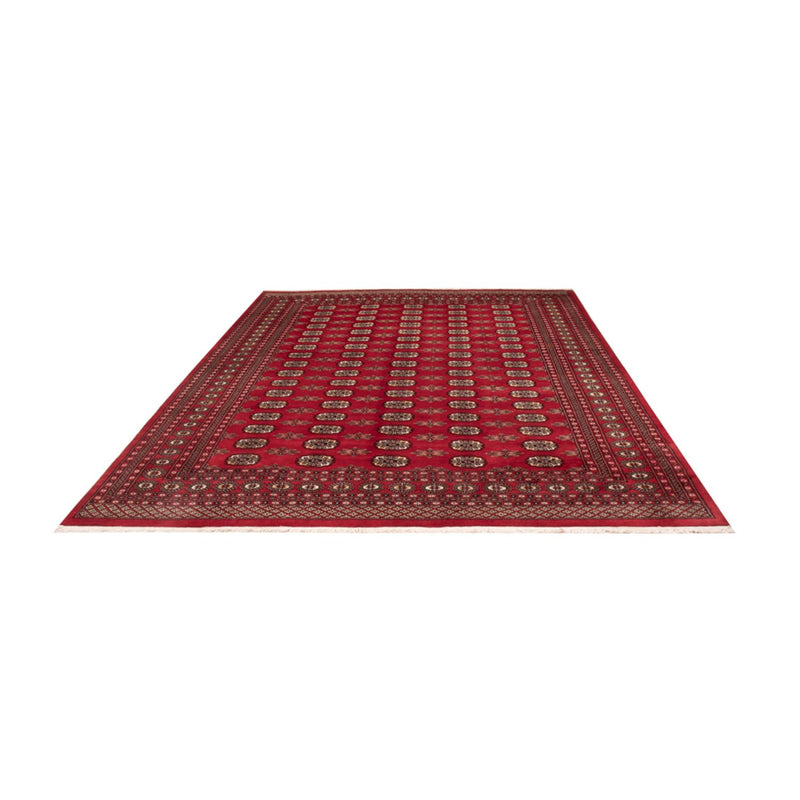 Tappeto afgano - Bukhara - 314 x 243 cm - rosso