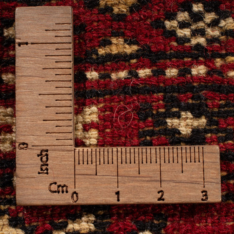 Tappeto afgano - Bukhara - 314 x 243 cm - rosso