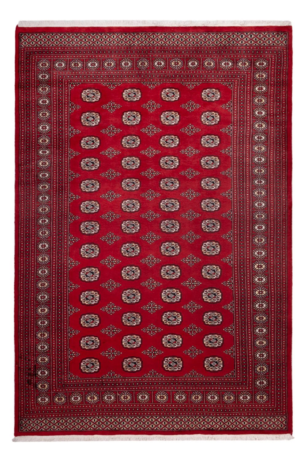 Tappeto afgano - Bukhara - 290 x 200 cm - rosso