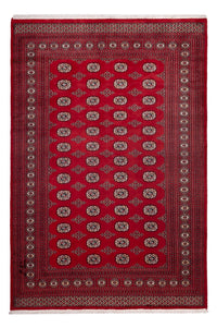Tappeto afgano - Bukhara - 290 x 200 cm - rosso