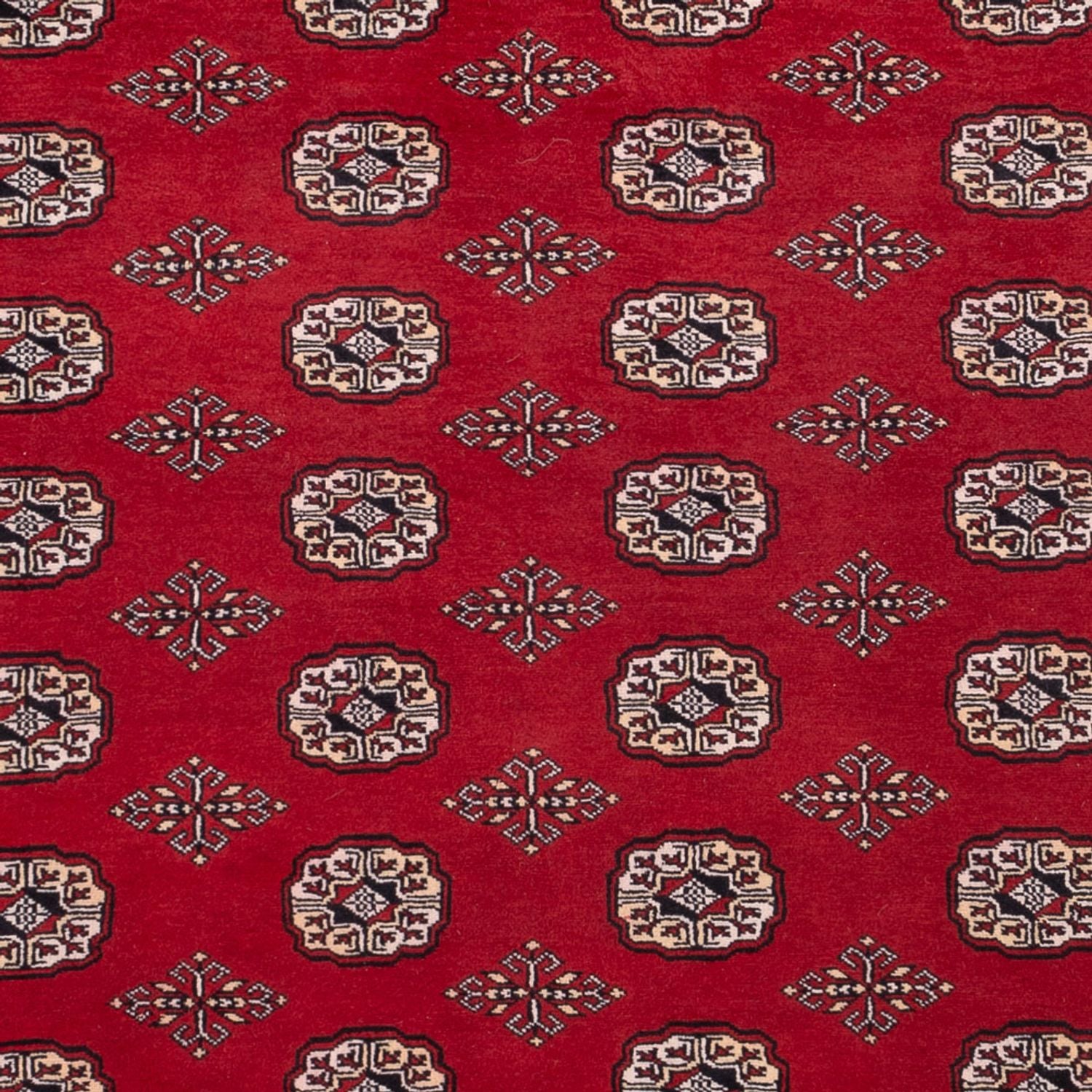 Tappeto afgano - Bukhara - 290 x 200 cm - rosso