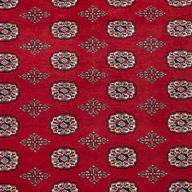Tappeto afgano - Bukhara - 290 x 200 cm - rosso