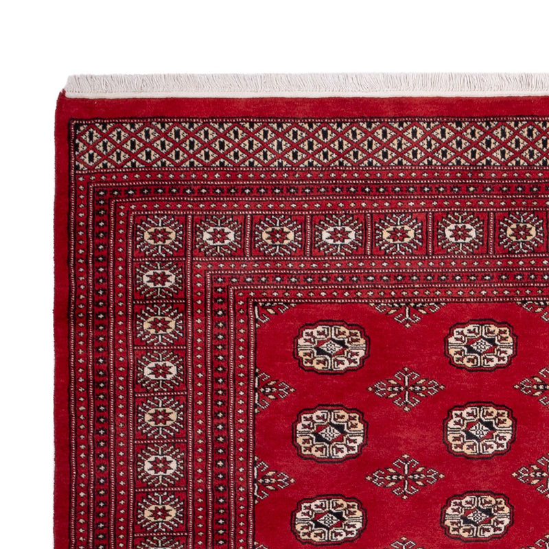 Tappeto afgano - Bukhara - 290 x 200 cm - rosso