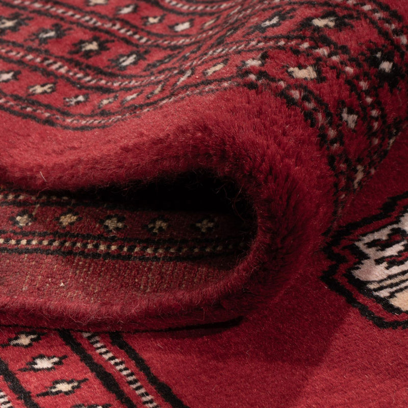Tappeto afgano - Bukhara - 290 x 200 cm - rosso