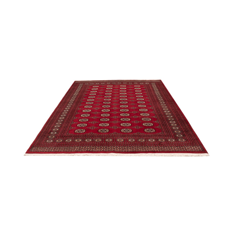 Tappeto afgano - Bukhara - 290 x 200 cm - rosso