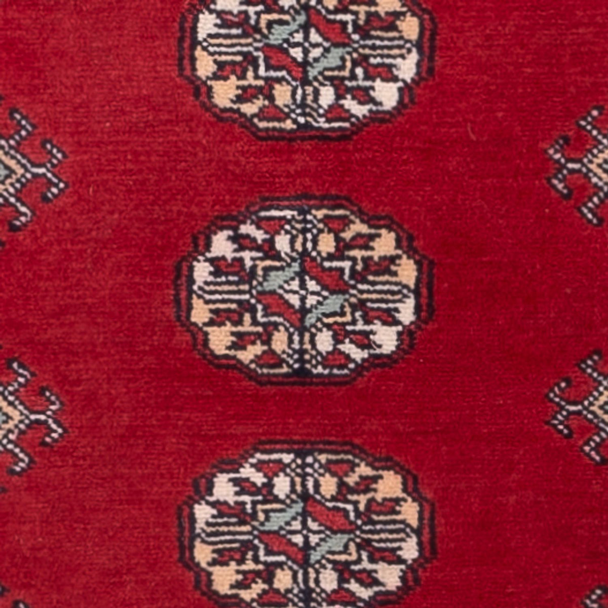 Tappeto corsia Tappeto Pakistani - 255 x 77 cm - rosso