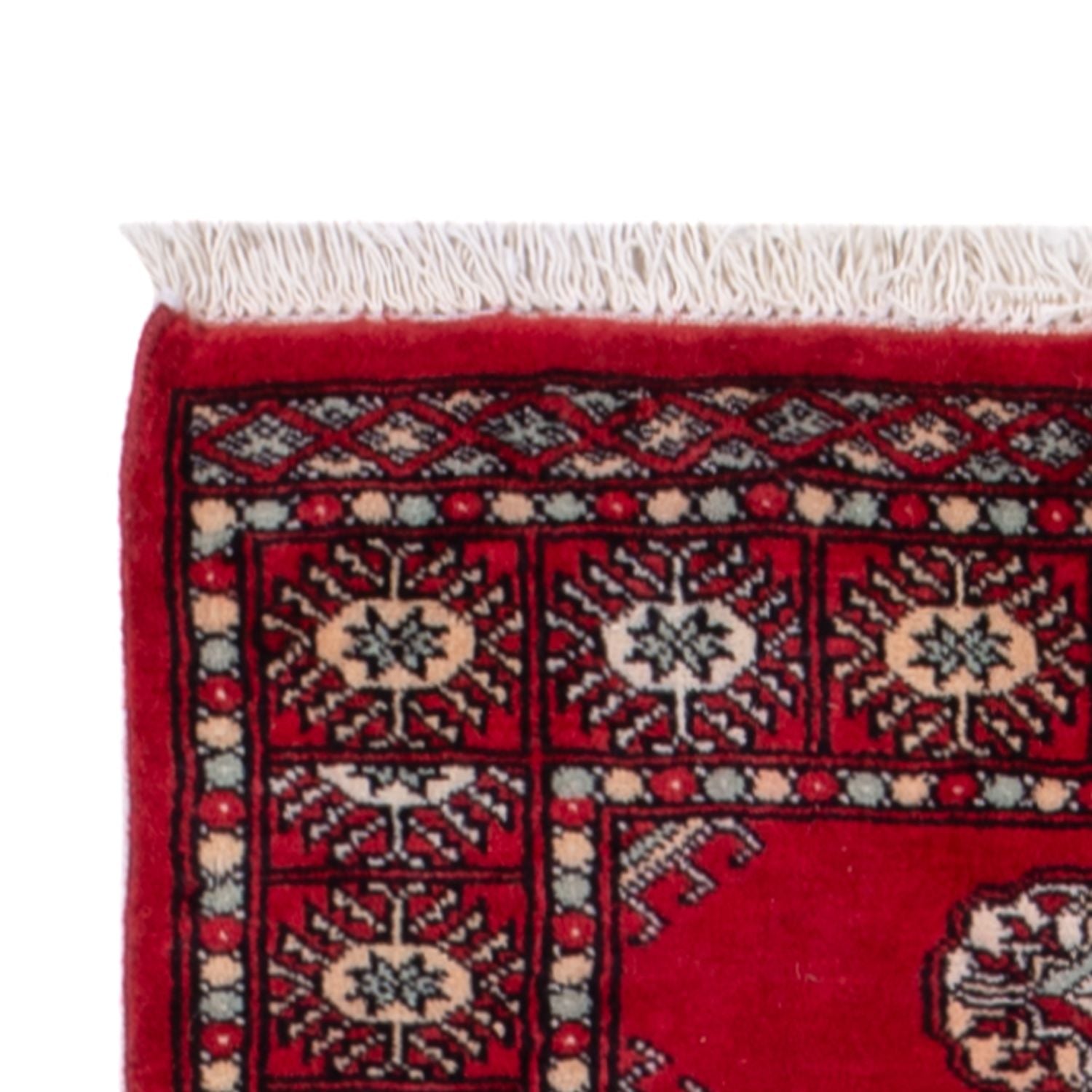 Tappeto corsia Tappeto Pakistani - 255 x 77 cm - rosso
