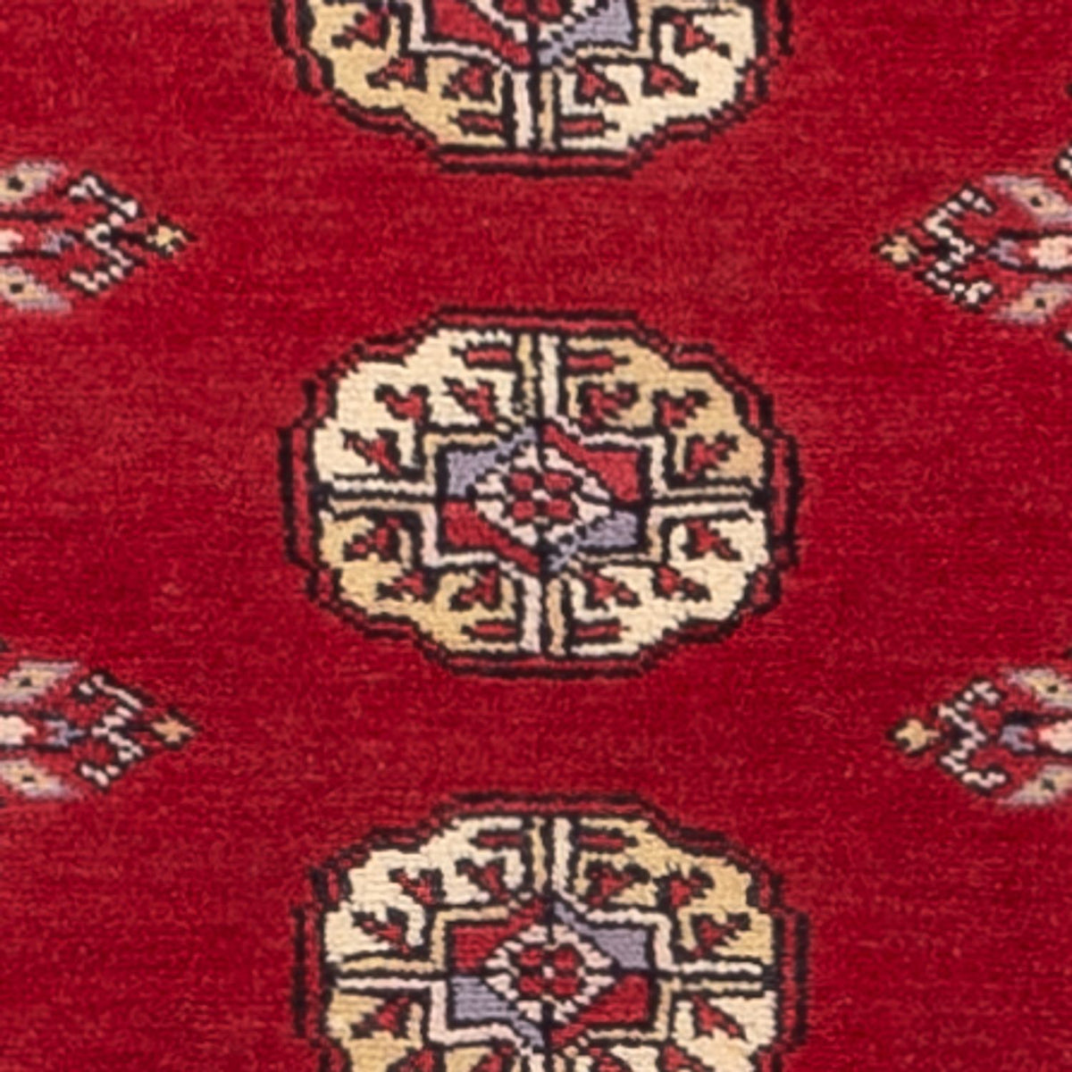 Tappeto corsia Tappeto Pakistani - 246 x 77 cm - rosso