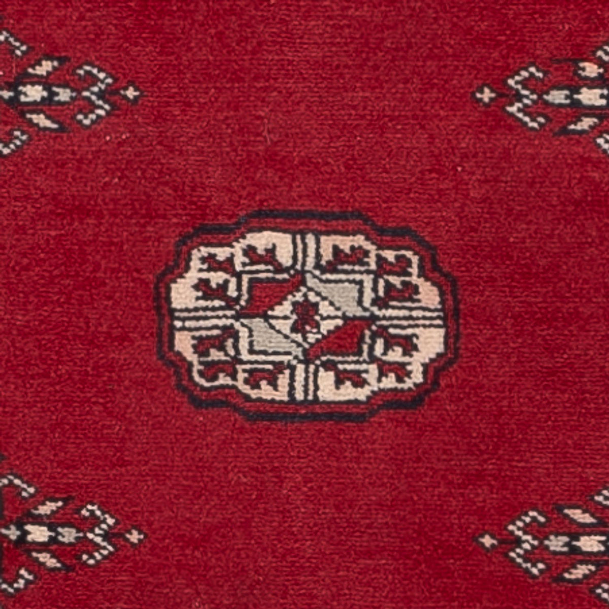 Tappeto corsia Tappeto Pakistani - 257 x 75 cm - rosso