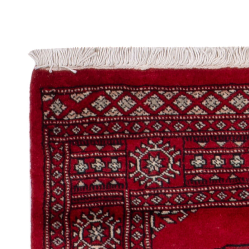 Tappeto corsia Tappeto Pakistani - 257 x 75 cm - rosso