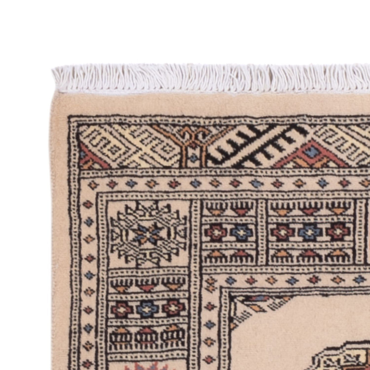 Tappeto corsia Tappeto Pakistani - 234 x 76 cm - beige