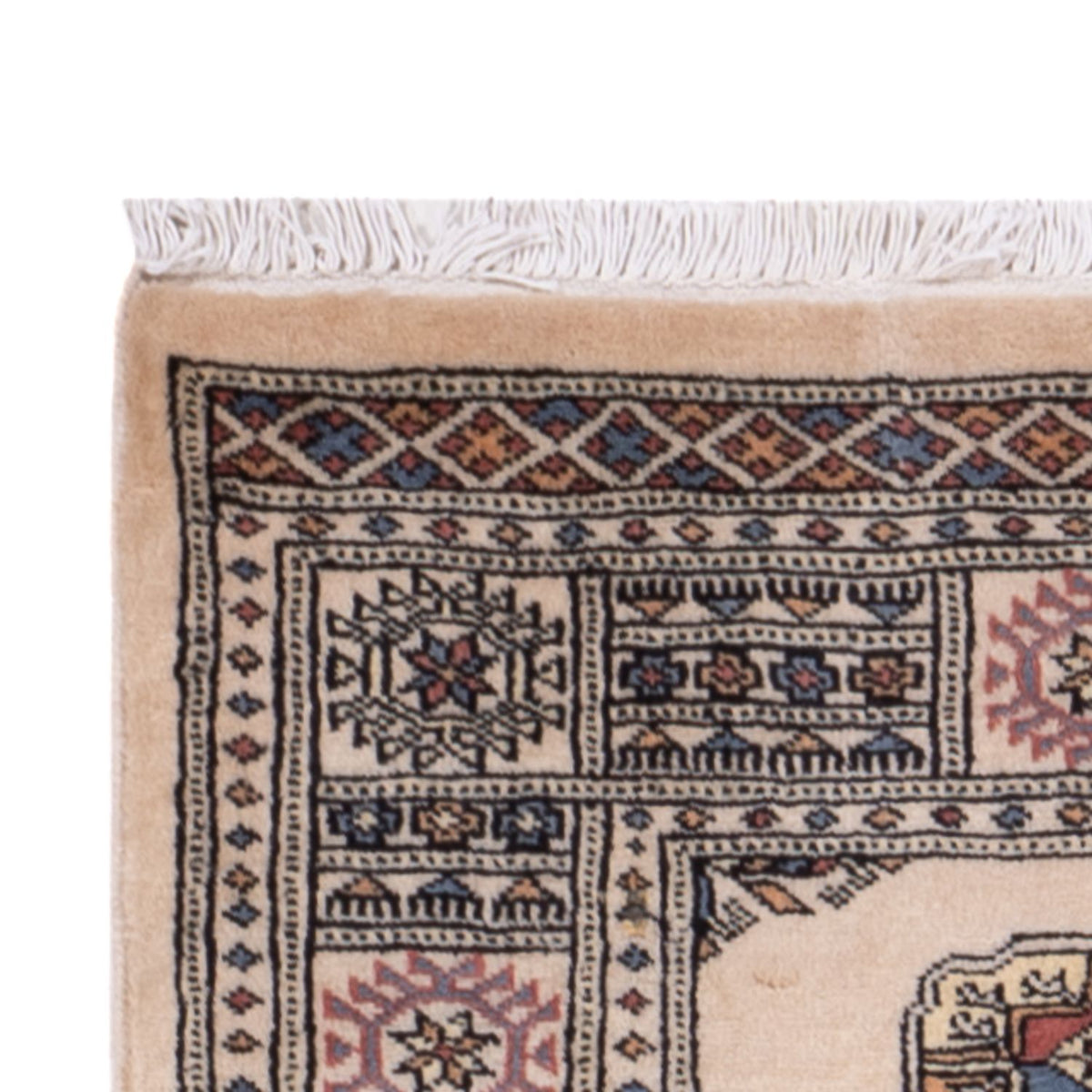 Tappeto corsia Tappeto Pakistani - 249 x 77 cm - beige
