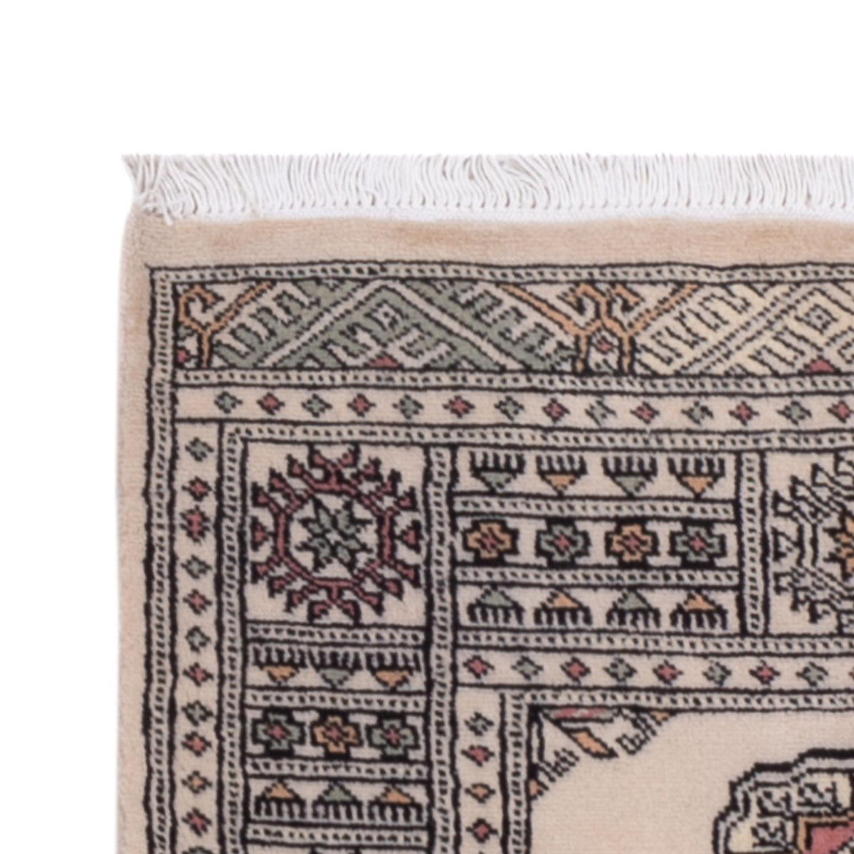 Tappeto corsia Tappeto Pakistani - 254 x 77 cm - beige