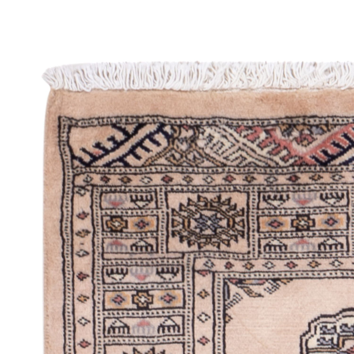 Tappeto corsia Tappeto Pakistani - 224 x 79 cm - beige