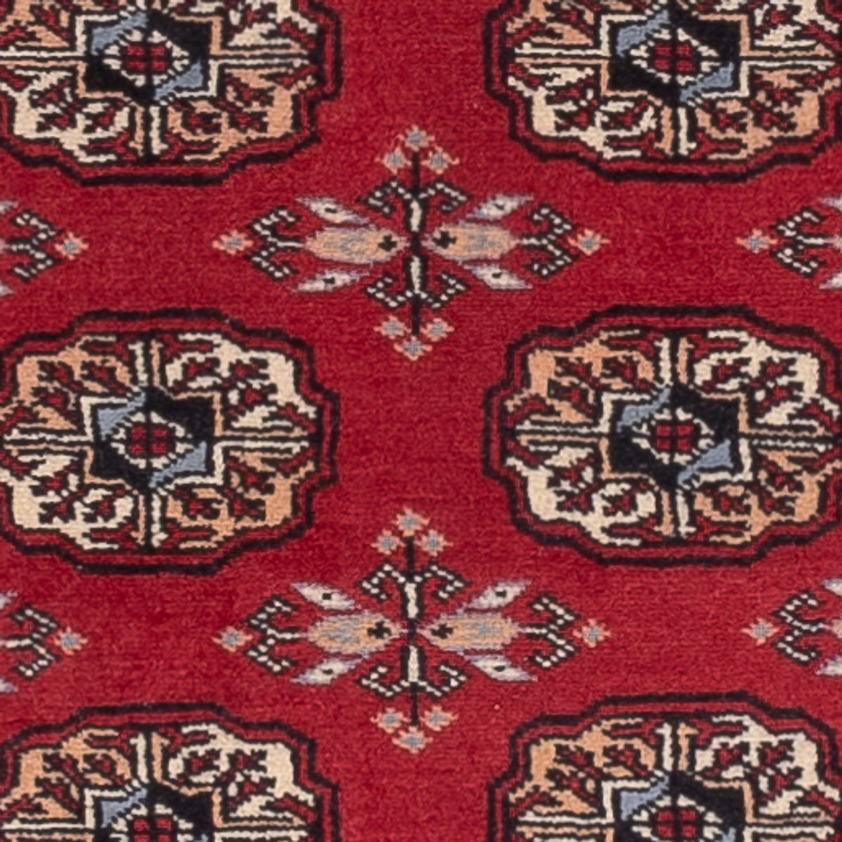 Tappeto corsia Tappeto Pakistani - 224 x 80 cm - rosso