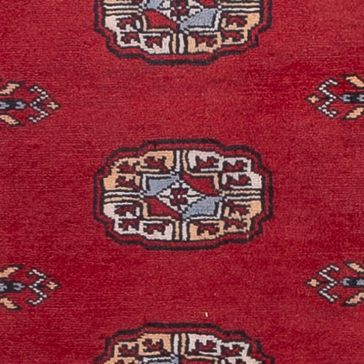 Tappeto corsia Tappeto Pakistani - 259 x 80 cm - rosso