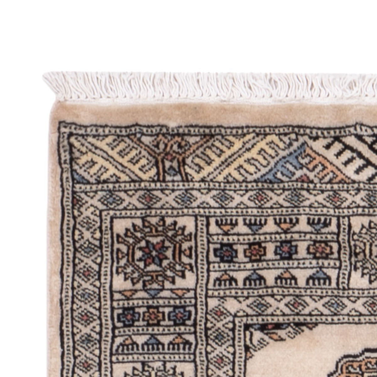 Tappeto corsia Tappeto Pakistani - 244 x 77 cm - beige