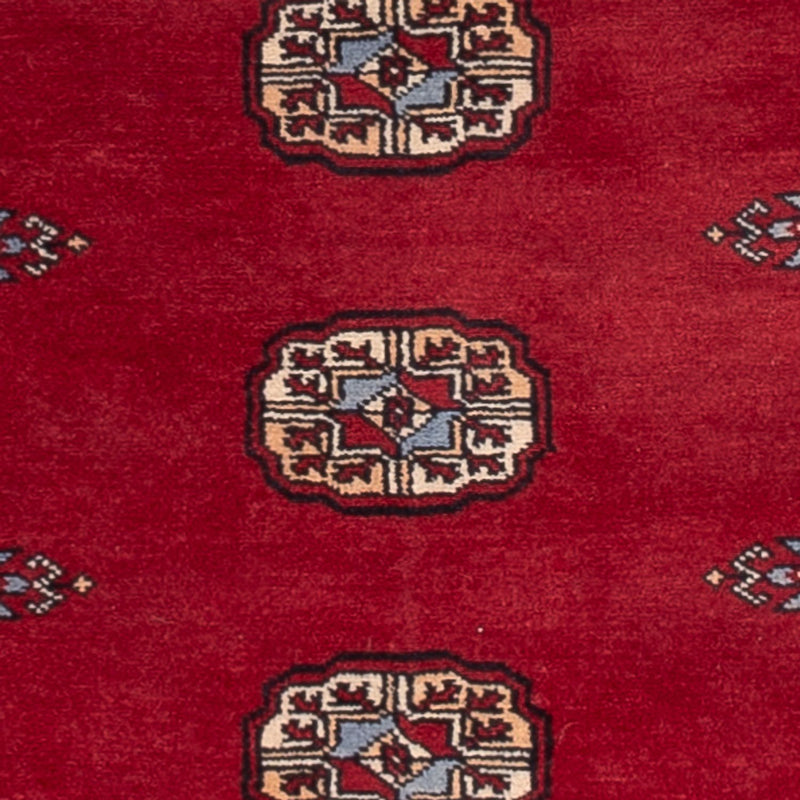 Tappeto corsia Tappeto Pakistani - 262 x 77 cm - rosso