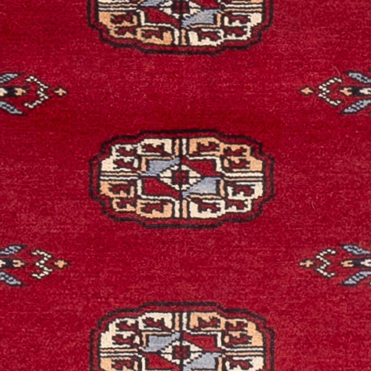 Tappeto corsia Tappeto Pakistani - 239 x 79 cm - rosso