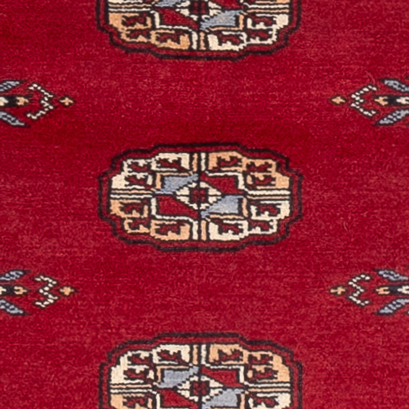 Tappeto corsia Tappeto Pakistani - 239 x 79 cm - rosso
