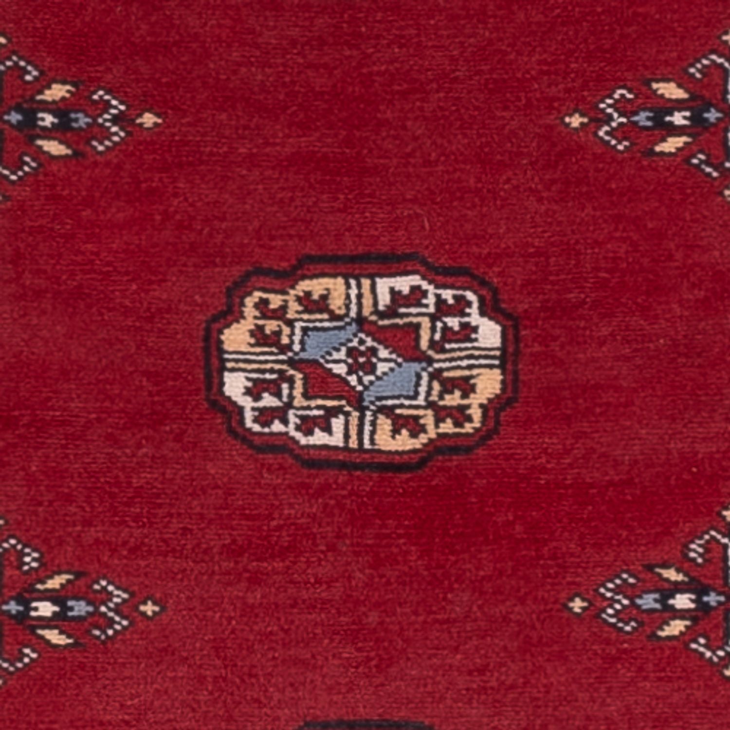Tappeto corsia Tappeto Pakistani - 247 x 77 cm - rosso
