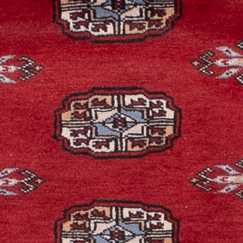 Tappeto corsia Tappeto Pakistani - 179 x 79 cm - rosso