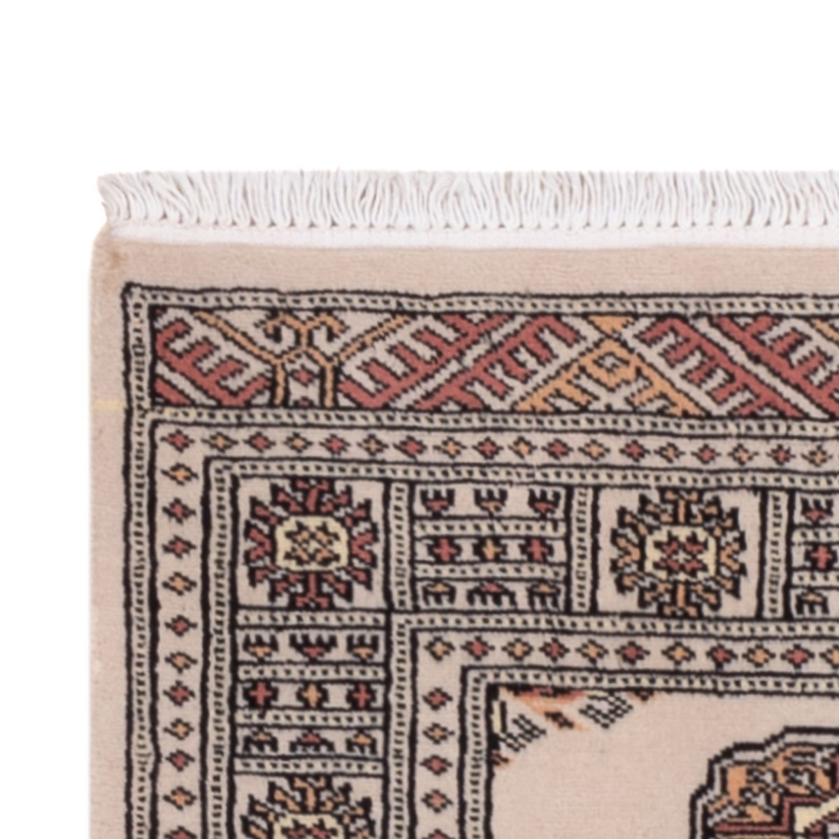 Tappeto corsia Tappeto Pakistani - 204 x 75 cm - beige