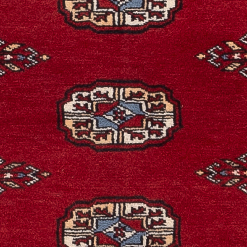 Tappeto corsia Tappeto Pakistani - 200 x 79 cm - rosso