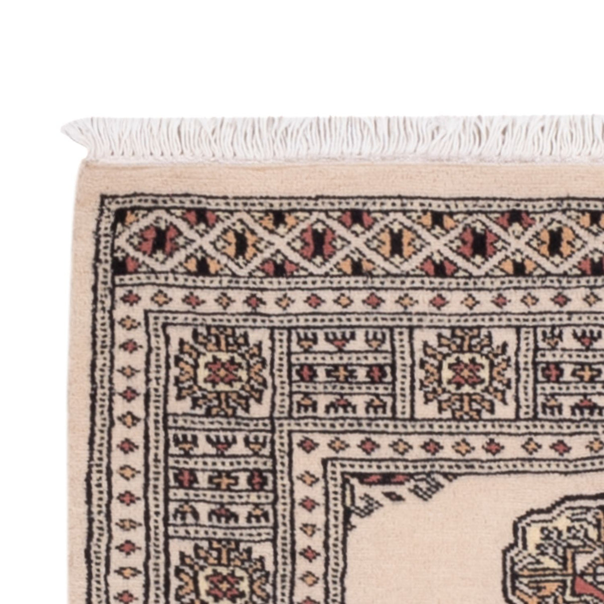 Tappeto corsia Tappeto Pakistani - 193 x 79 cm - beige
