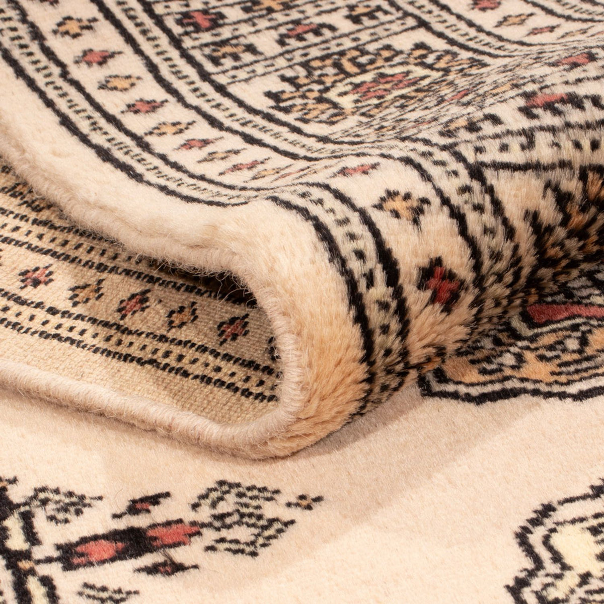 Tappeto corsia Tappeto Pakistani - 193 x 79 cm - beige