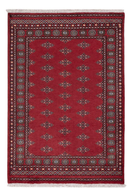 Tappeto Pakistani - 203 x 137 cm - rosso