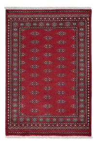 Tappeto Pakistani - 203 x 137 cm - rosso