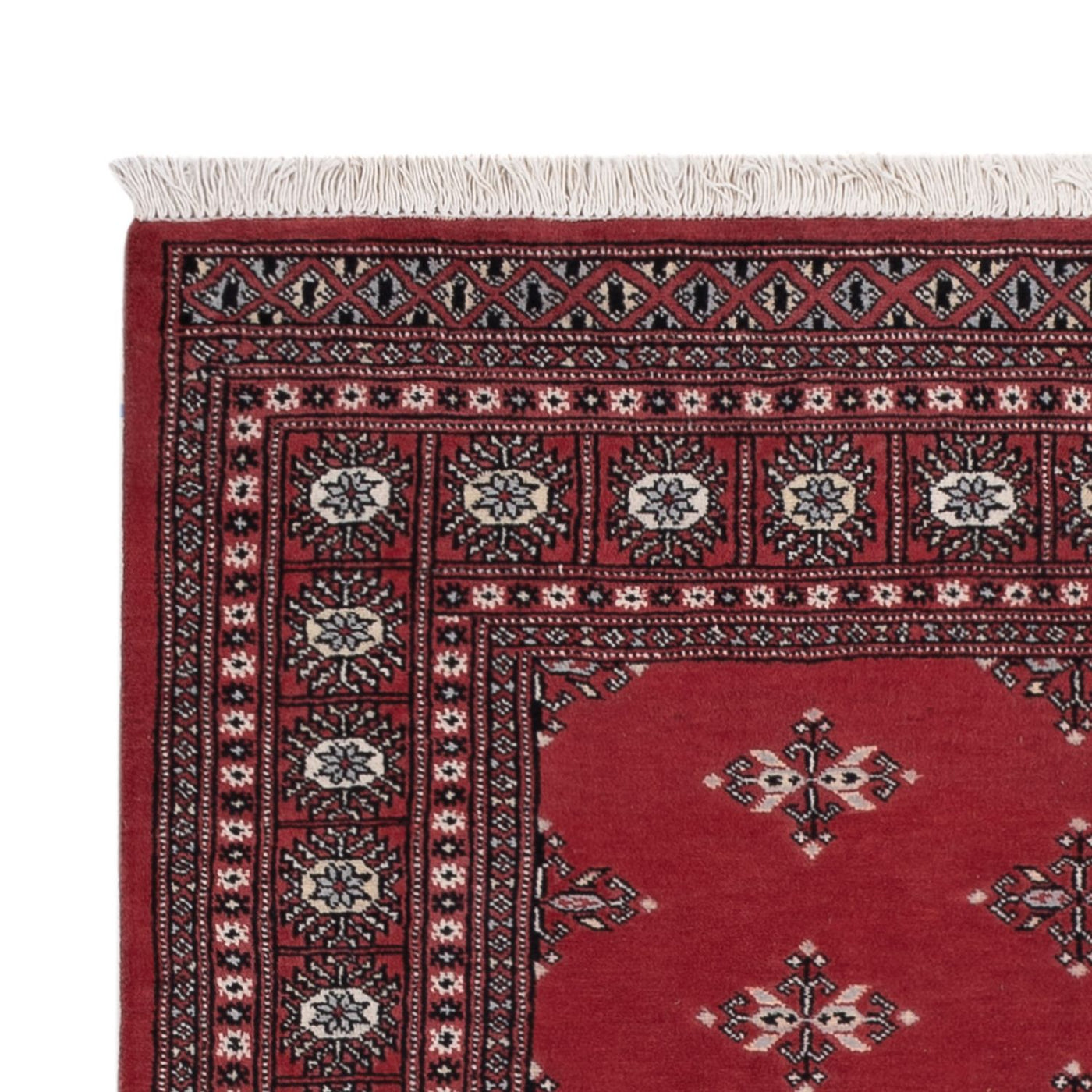 Tappeto Pakistani 199x140cm - Tappeto orientale