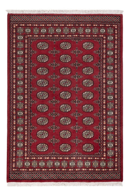Tappeto Pakistani - 204 x 139 cm - rosso