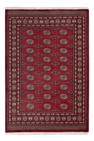Tappeto Pakistani - 204 x 141 cm - rosso