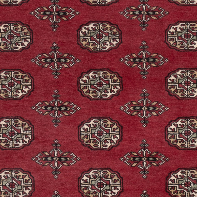 Tappeto Pakistani - 204 x 141 cm - rosso