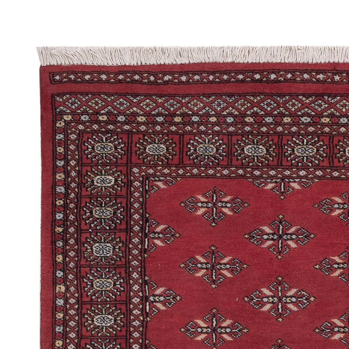 Tappeto Pakistani - 183 x 140 cm - rosso